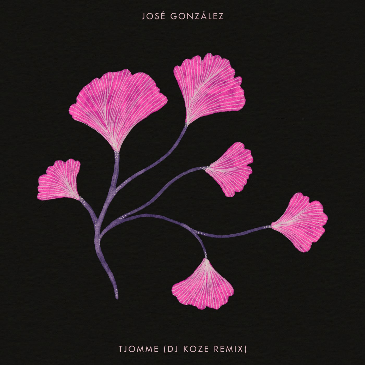 Jose Gonzalez - Tjomme (DJ Koze Remix) [SLANG50449Z]